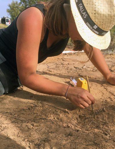 Excavación de la necrópolis del Carpintero, Alpuente