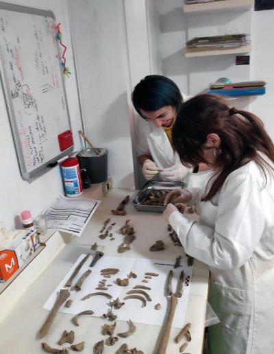 Restos encontrados en La Almeza, Alpuente