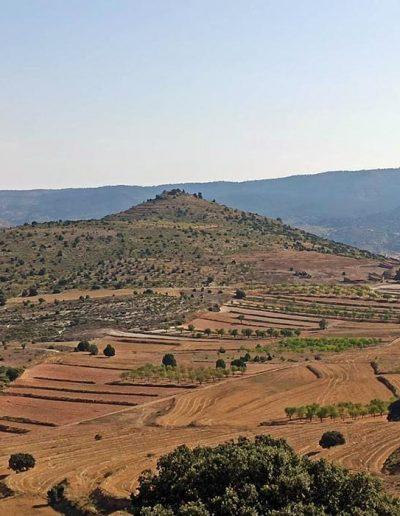 Prospección en Ademuz